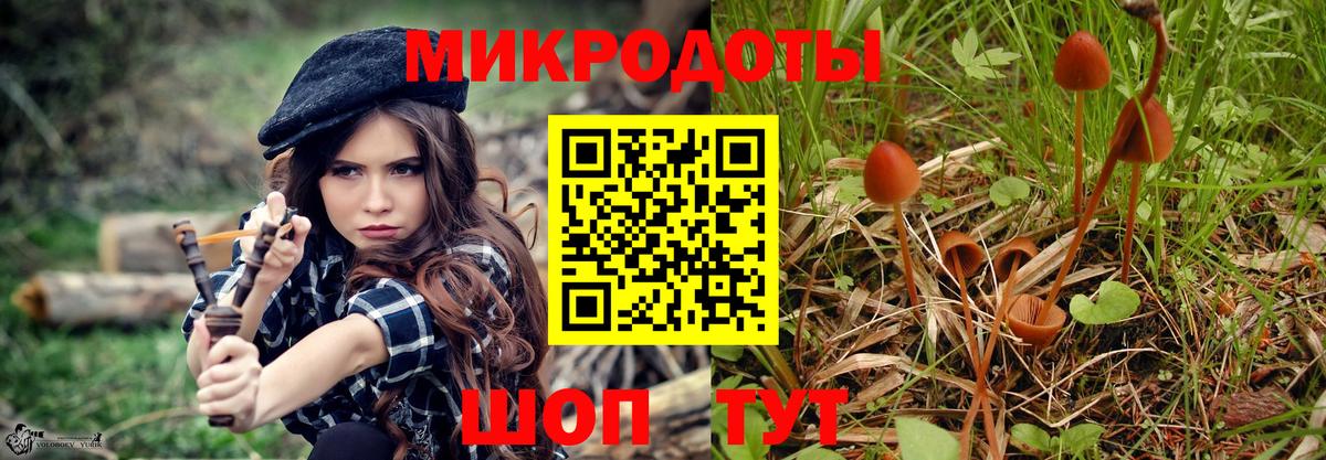 Галлюциногенные грибы Psilocybine cubensis  Вход с VPN  Ревда  Галлюциногенные грибы прущие грибы 
